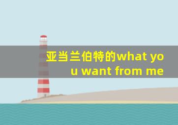 亚当兰伯特的what you want from me